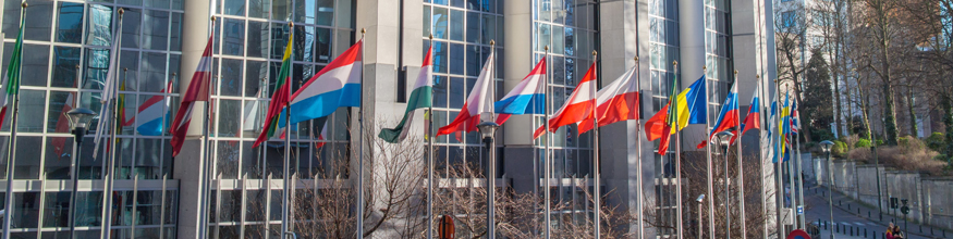 flags outside of a building